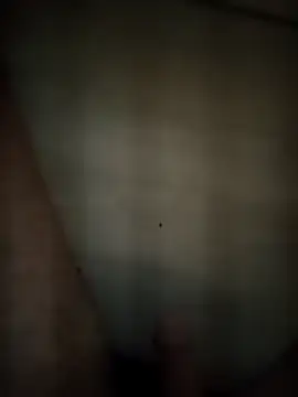 Patressssss online show from April 18, 9:15 pm