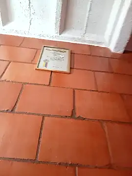 Lee priest online show from January 17, 5:27 pm