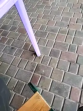 Odecca11 online show from November 23, 8:25 am