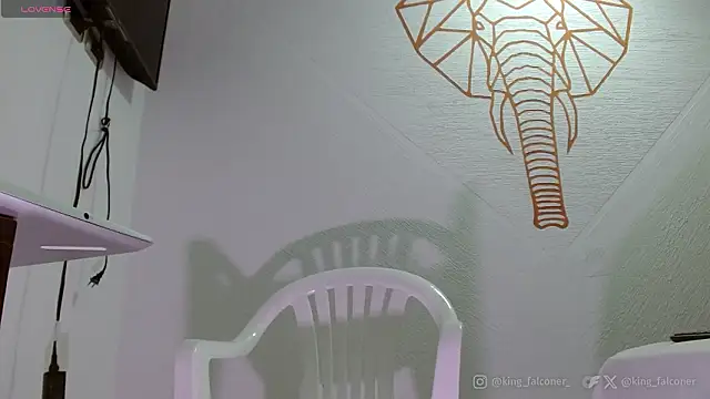 king falconer online show from February 21, 5:03 pm