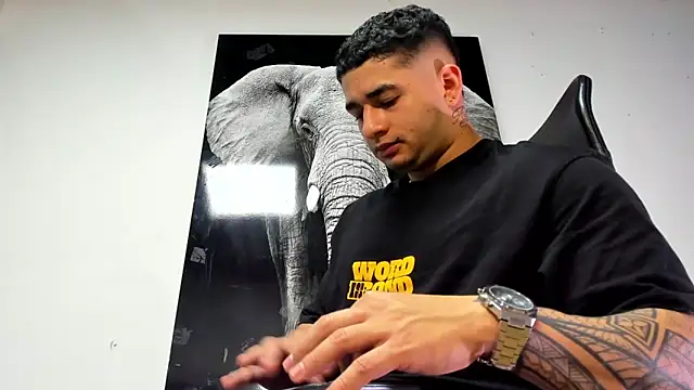 king falconer online show from October 31, 3:41 am