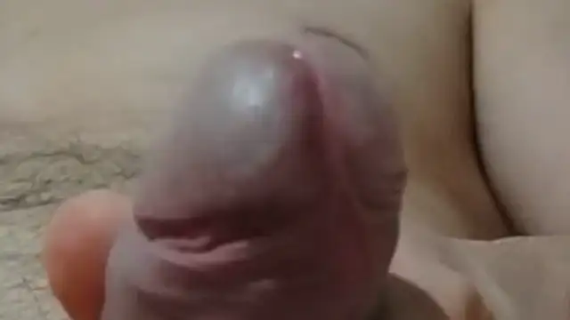 ponocta2 online show from December 16, 12:50 am