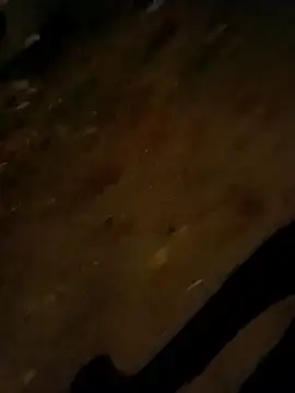 jvdzj-0  online show from October 28, 9:50 pm