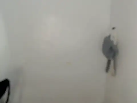 ynotyu online show from March 29, 5:18 am