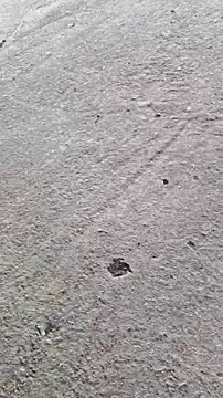 vaibhav0897 online show from November 22, 9:53 am