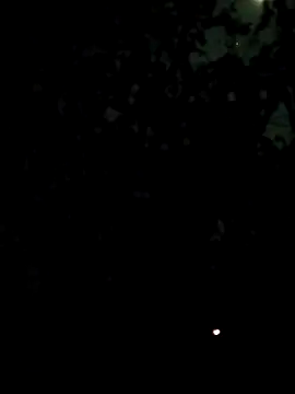 Girls pussy rider online show from February 27, 5:34 pm