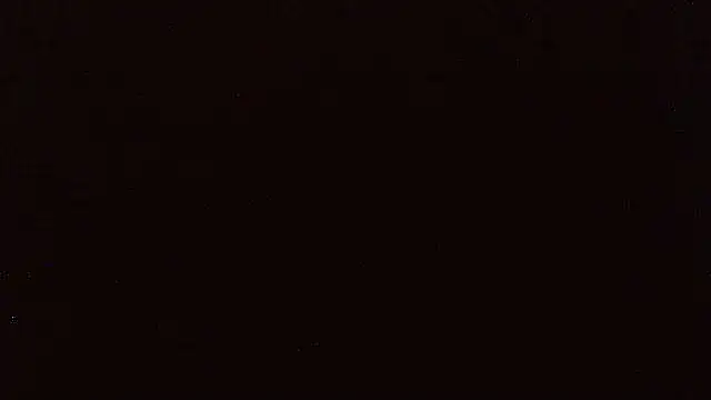 pietje1991 online show from June 20, 12:04 am