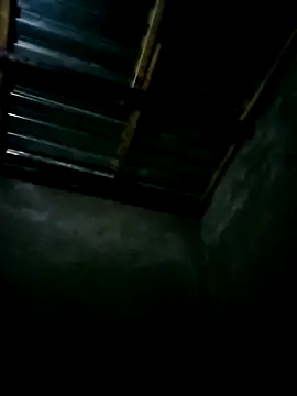 CrepedTrek online show from November 27, 7:28 pm