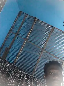 azomedo online show from April 26, 6:33 am