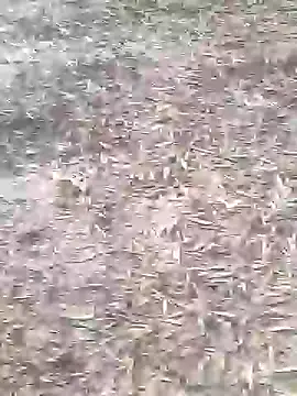 sonotutto online show from October 16, 8:11 am