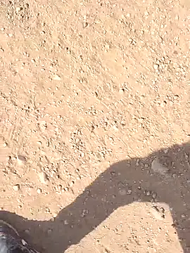 sonotutto online show from October 14, 11:50 am