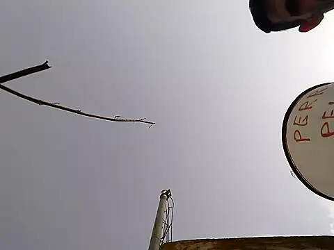 palomo41xh online show from October 12, 2:11 pm