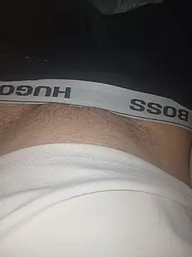 hornyhorny29483 online show from April 19, 1:38 am