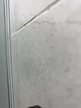 traidamtimgainung online show from October 14, 12:23 pm