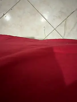 fuegoenlacama online show from February 4, 11:44 pm