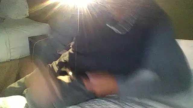 49swm4all online show from November 21, 6:34 am