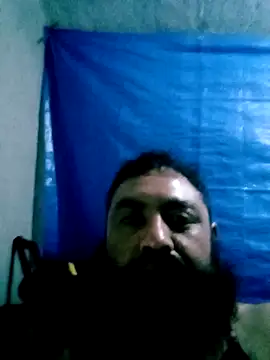 SuppledForestay online show from October 25, 4:36 am