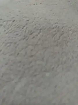 fisk 2006 online show from February 26, 1:56 pm