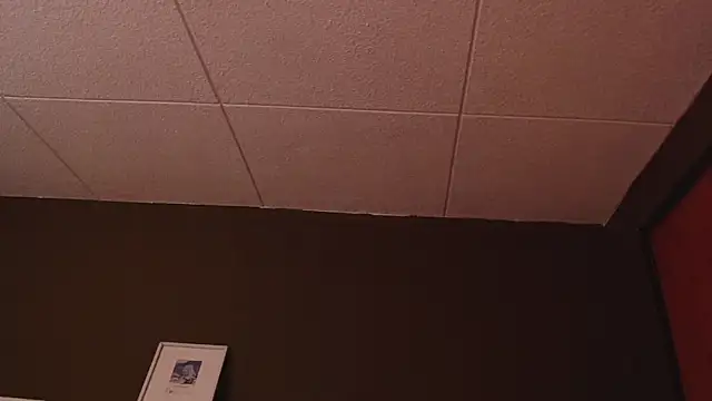 PaulEvens online show from October 23, 1:03 pm