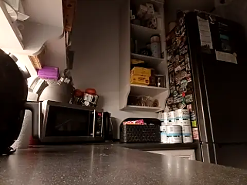 Donowan86 online show from March 21, 4:05 am