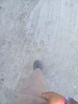 armndo4 online show from December 22, 3:53 pm