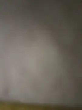 taraaek online show from March 7, 12:08 am