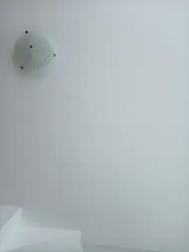 singolo discreto online show from January 11, 12:42 pm