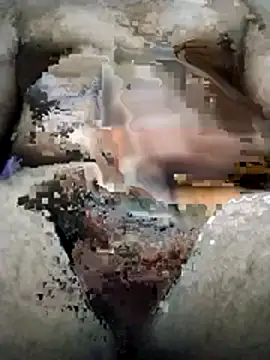 bls356 online show from April 7, 2:00 am