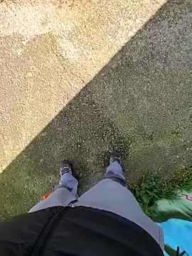 Stingles online show from April 13, 4:18 pm