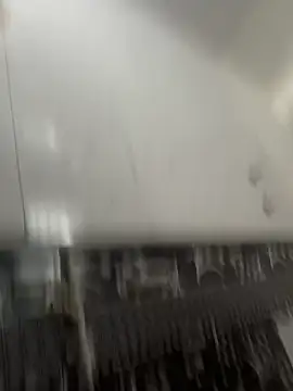 NoddingScorpion online show from March 8, 10:30 am