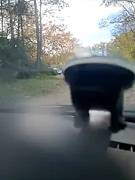 twitshe online show from October 30, 1:45 pm