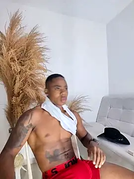 Snapshot of liambolt chatting on October 24, 12:13 am liambolt online show from October 24, 12:13 am