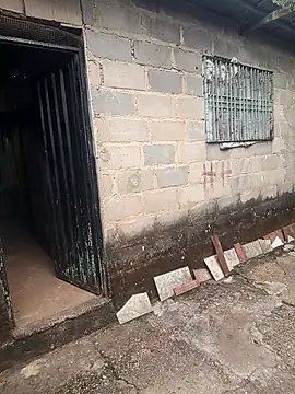 Franklin111230 online show from February 28, 11:42 am