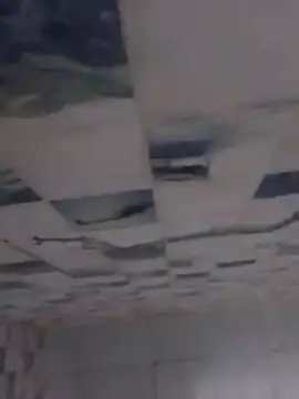 Faical06 online show from December 4, 11:34 pm