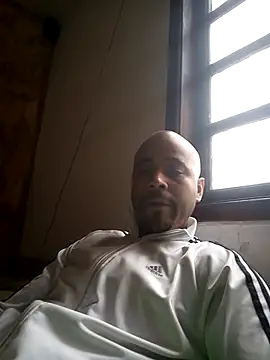 reisloko online show from November 15, 11:23 am