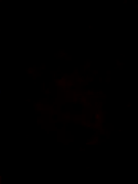 AClayt2HughA online show from February 5, 1:07 pm