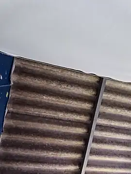 WholeAltimeter25 online show from February 10, 5:45 am