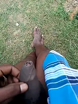 dolphiinn online show from November 11, 11:26 am