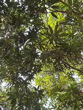 Ositomex1 online show from April 22, 9:08 pm