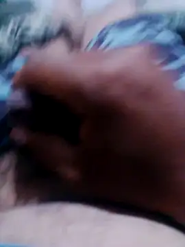 VemProq online show from November 29, 5:42 am