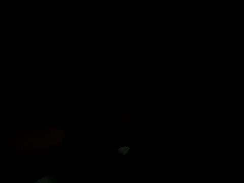 bearded cross online show from February 6, 1:13 am