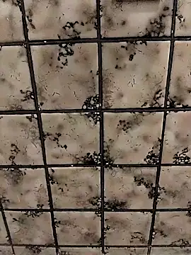 rosembertg online show from October 2, 1:04 pm