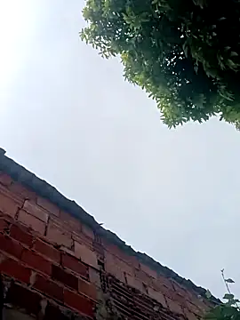 hechizo777 online show from February 6, 3:09 pm