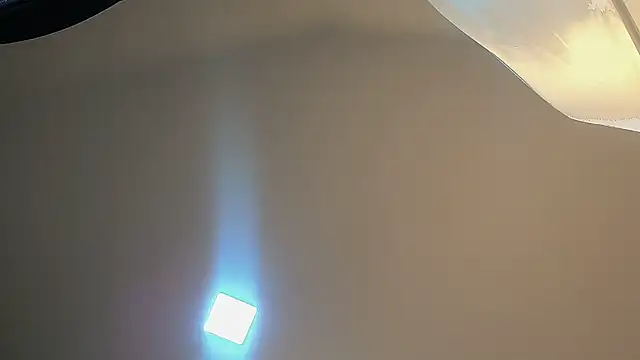  online show from January 16, 12:52 pm