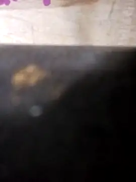 Jeremycle online show from October 25, 11:17 pm