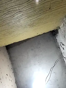 Bebicho14 online show from April 1, 4:36 am