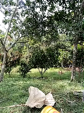 AlphaAlterX online show from March 3, 7:21 pm