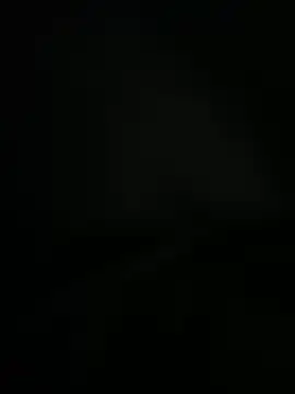 dogslavehf online show from April 26, 2:58 pm