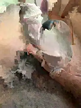 Richwell24 online show from February 18, 10:46 am