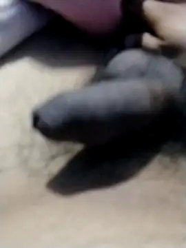 SquiredBagdad online show from October 23, 4:49 am